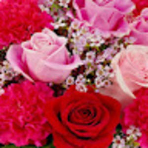 Meet your Posher, Janelle